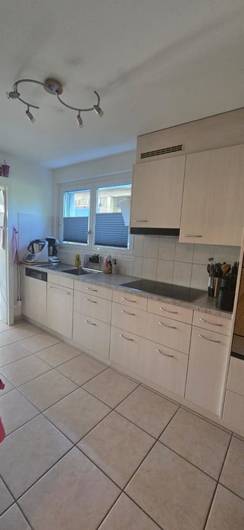 Grosszügige 4.5-Zimmer-Wohnung 5