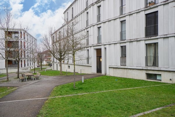 Mitten im Grünen - mitten in Zürich 3