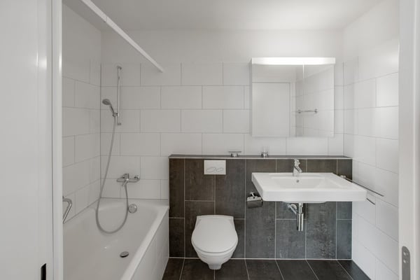 Attikawohnung mit Terrasse und Aussicht 3