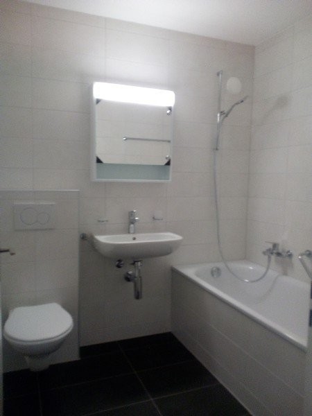 Souhaitez-vous habiter dans un logement rénové? 8