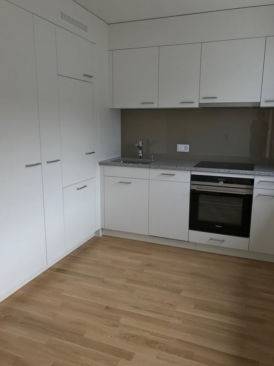 Studio-Wohnung in Nähe Zürich HB und Central 2