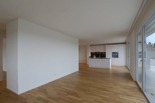 Wohnen mit Aussicht - 66 m2 grosse Terrasse! 3