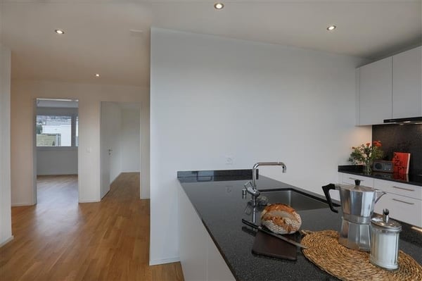 Wohnen mit Aussicht - 66 m2 grosse Terrasse! 5