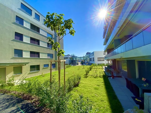 Wohnen mit Aussicht - 66 m2 grosse Terrasse! 9