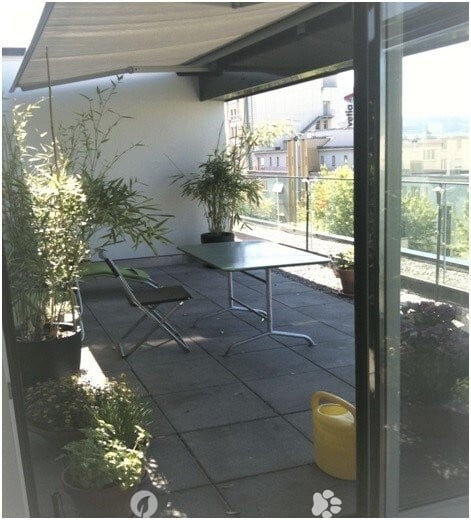 Nachmieter für traumhafte Terrassenwohnung gesucht! 7