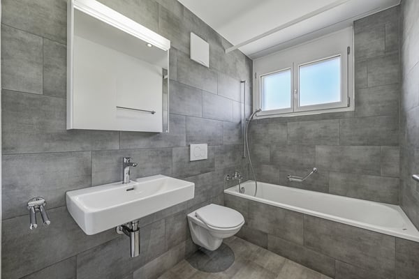 Wohnen zwischen Zürich und Zug 6