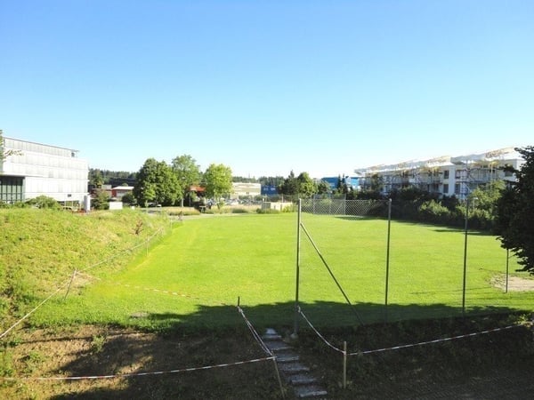 grün. ruhig. Bim Hasel. 8