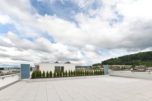 Attikawohnung mit grosser Terrasse 6