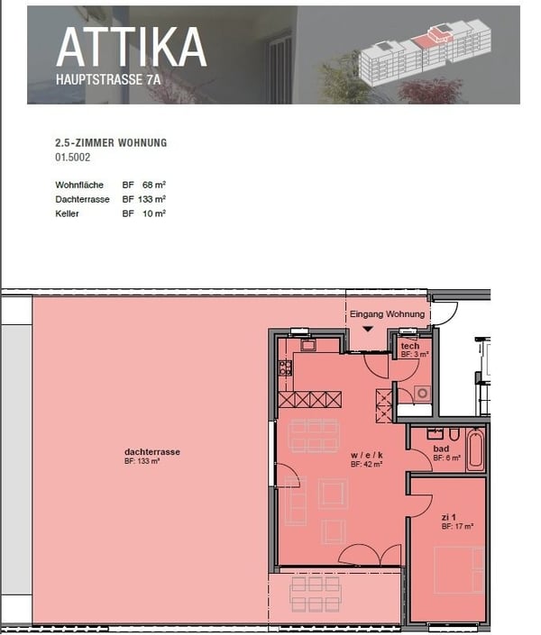 Attikawohnung mit grosser Terrasse 9