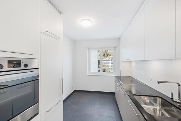 Sentihof - Ihr neues Zuhause mit Reussblick 2
