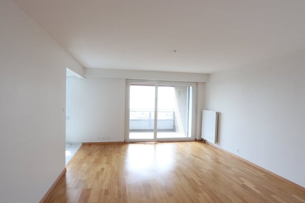 Appréciez la vue sur le lac depuis votre logement 4