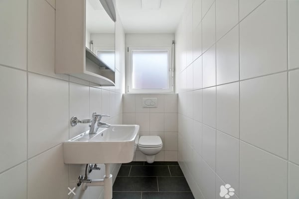 Für Stadtmenschen und Naturliebhaber 6