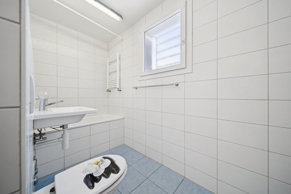 Cherchez-vous un logement où il fait bon vivre ? 12