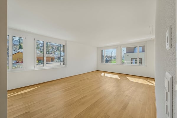Wohnen zwischen Zürich und Zug 4