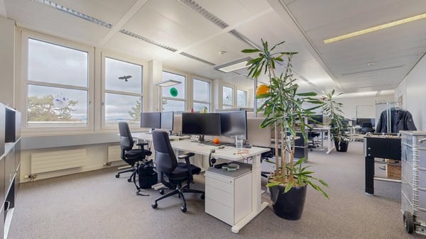 Bevorzugte Lage am Aeschenplatz 6