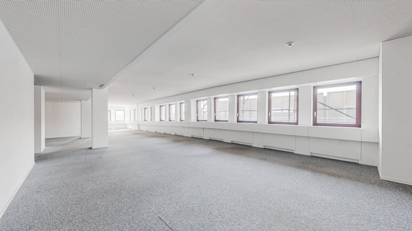 Ufficio moderno e luminoso nel cuore di Locarno disponibile in sublocazione o con subentro 7