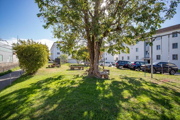Familienfreundliches Wohnen mit grosszügigem Balkon und Blick ins Grün 11