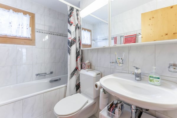 2 1/2 Zimmerwohnung im Surselvapark LAAX zu verkaufen 9
