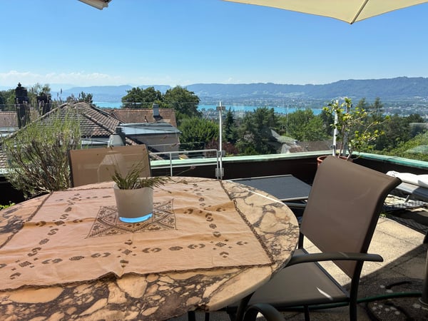 2.5-Zimmer-Attikawohnung mit Panorama-Terrasse am Zürichberg 2
