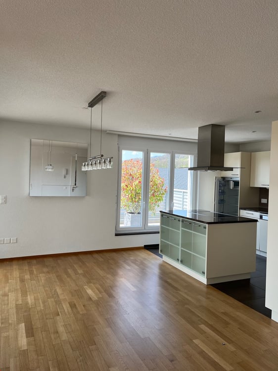 11/2 Zi. Attikawohnung wohnen wie im Einfamilienhaus mit 118 m2 Balkon 4