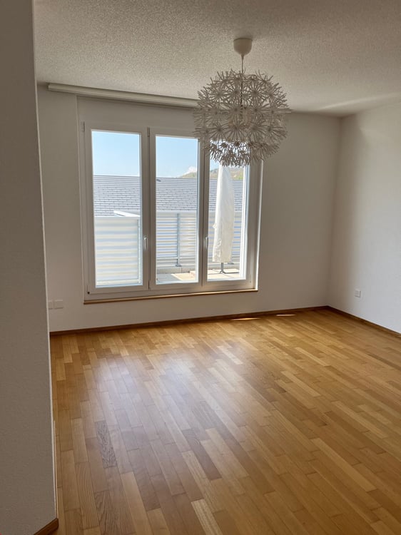 11/2 Zi. Attikawohnung wohnen wie im Einfamilienhaus mit 118 m2 Balkon 13