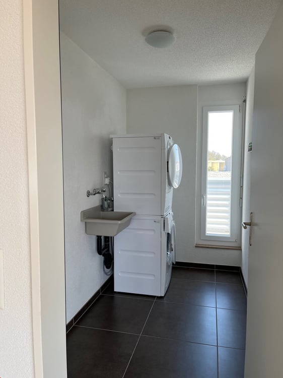 11/2 Zi. Attikawohnung wohnen wie im Einfamilienhaus mit 118 m2 Balkon 11