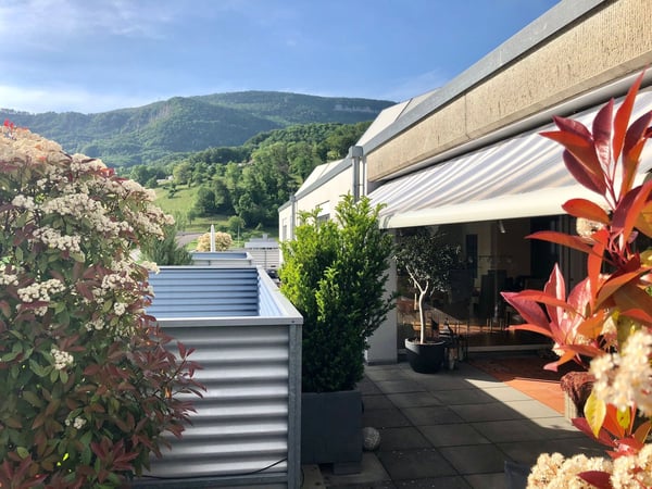 11/2 Zi. Attikawohnung wohnen wie im Einfamilienhaus mit 118 m2 Balkon 1