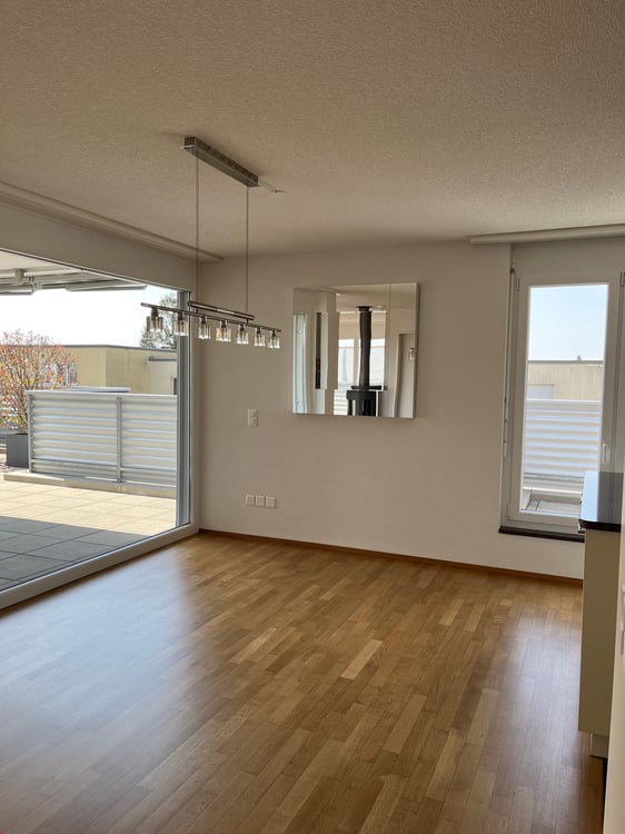 11/2 Zi. Attikawohnung wohnen wie im Einfamilienhaus mit 118 m2 Balkon 3