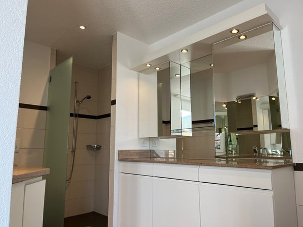 11/2 Zi. Attikawohnung wohnen wie im Einfamilienhaus mit 118 m2 Balkon 9