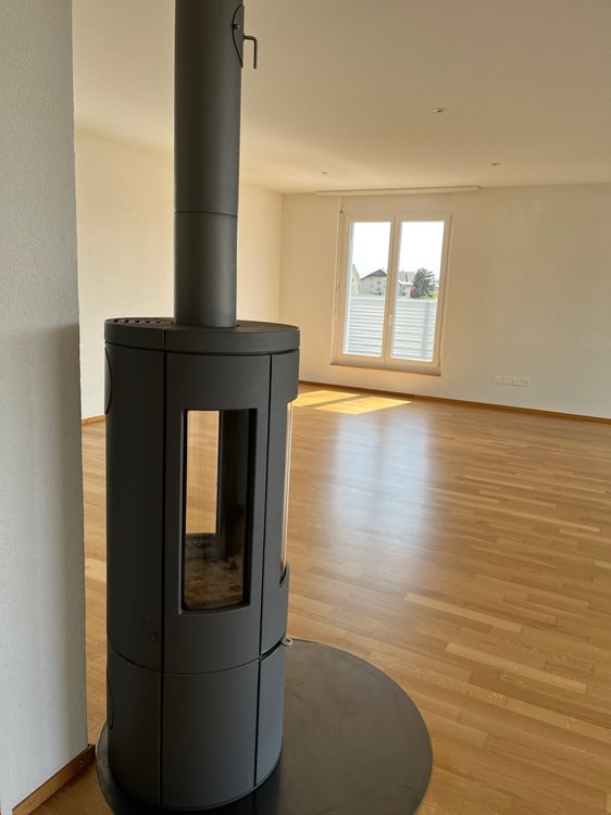 11/2 Zi. Attikawohnung wohnen wie im Einfamilienhaus mit 118 m2 Balkon 7