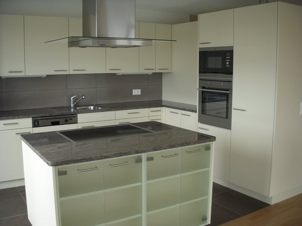 11/2 Zi. Attikawohnung wohnen wie im Einfamilienhaus mit 118 m2 Balkon 5