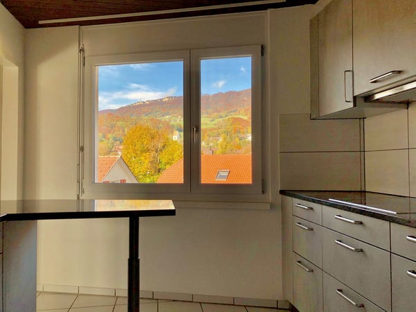 Grosse 4.5 Zi. Dachwohnung in 3 Familienhaus mit Rundumsicht 8