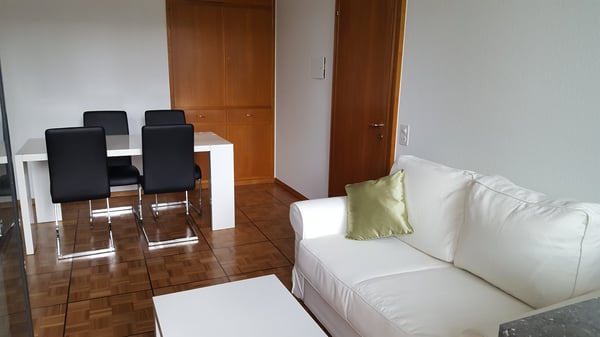 Business Apartment quiet & central with magnificent panoramic view! 7