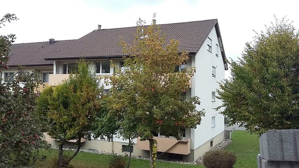 renovierte helle 4-Zimmerwohnung an zen…