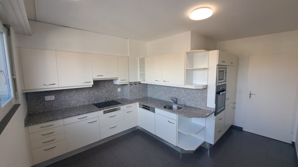 Traumhafte 4.5-Zimmer-Dachwohnung an der Palmenstrasse in Basel 4