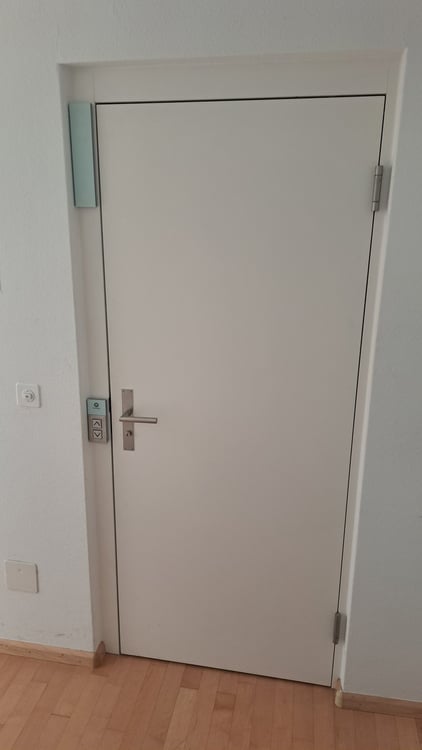 Traumhafte 4.5-Zimmer-Dachwohnung an der Palmenstrasse in Basel 6