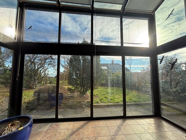 Einfamilienhaus an ruhiger Lage in Bettlach 4