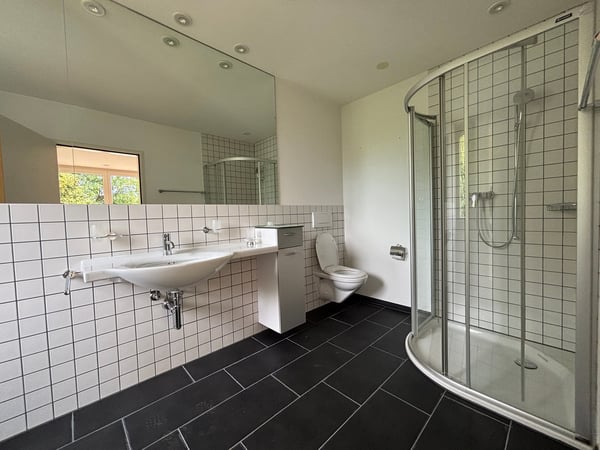 Einzigartige 4.5-Zimmer-Attikawohnung im Steingrubenquartier 8