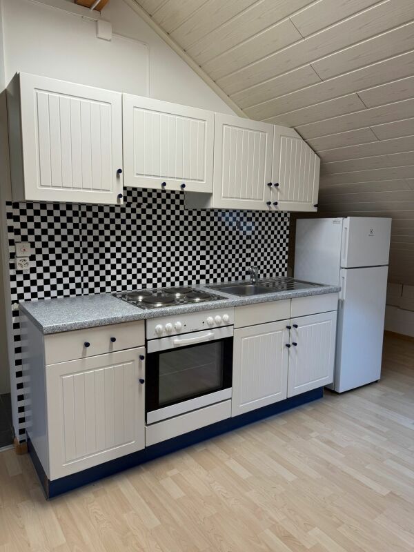 Very spacious studio near the village center