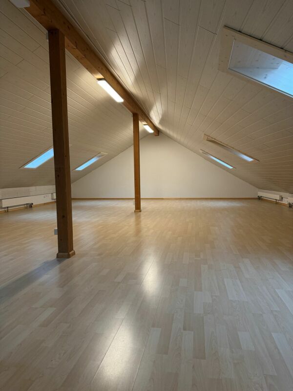 Very spacious studio near the village center