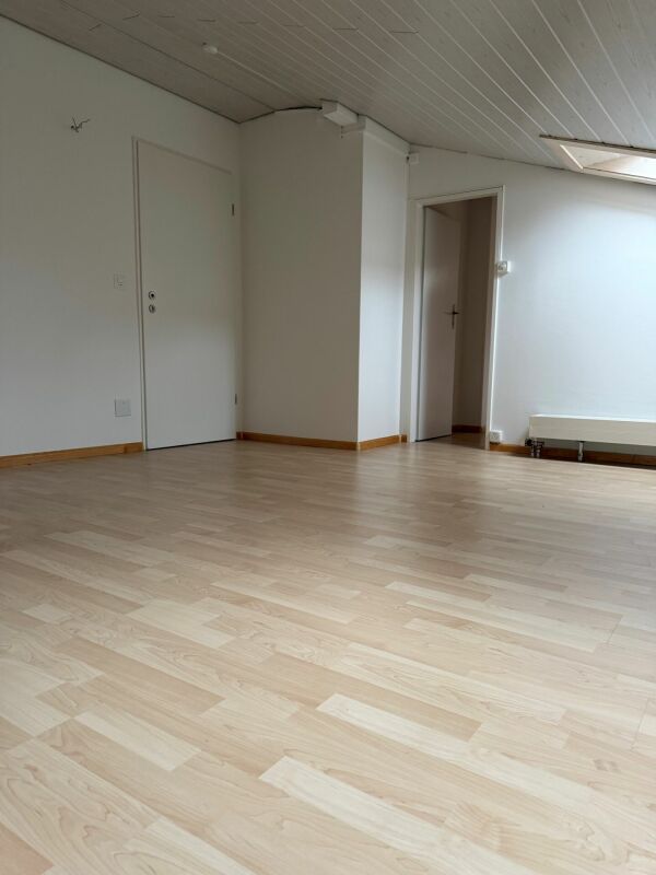 Very spacious studio near the village center