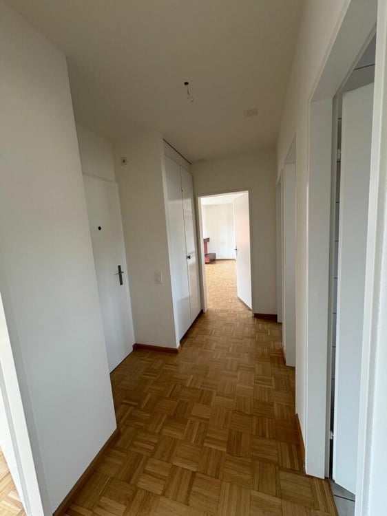Dachterrassenwohnung mitten in Reinach mit Cheminée 12