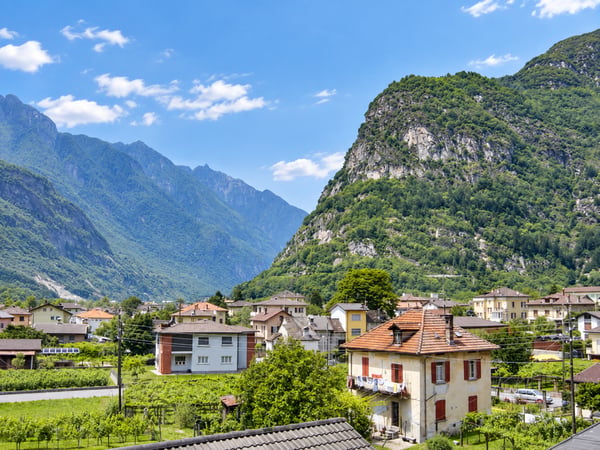 Bello e grande appartamento di 2 locali in affitto 14
