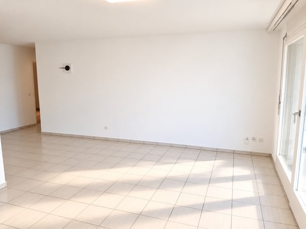 Bello e grande appartamento di 2 locali in affitto 3