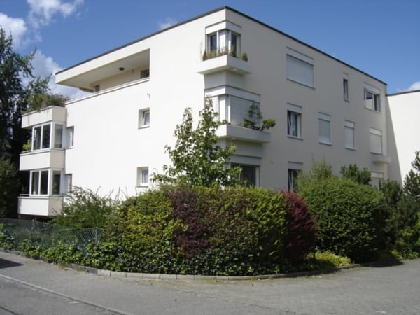 Grosszügige 5-Zimmer-Dachwohnung mit grosser Terrasse (44 m²)