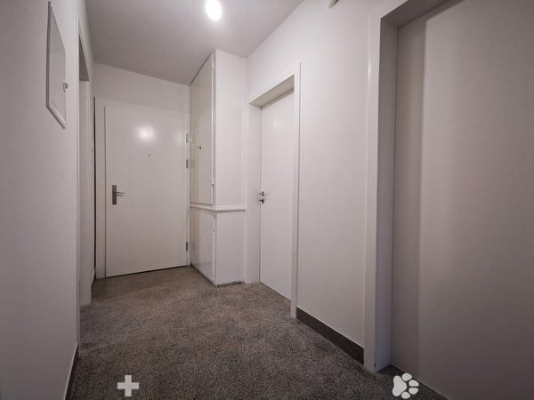 Helle 3-Zimmer-Wohnung mit Balkon an der General-Dufour-Strasse in Biel 5