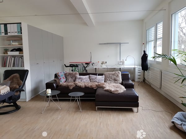 Suchen Sie eine nicht alltägliche Wohnung, wir haben die Lösung! 3