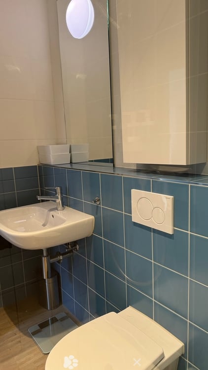 Suchen Sie eine nicht alltägliche Wohnung, wir haben die Lösung! 4