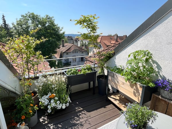 Moderne 3.5 Zimmer-Dachwohnung mit Galerie und Terrasse 33