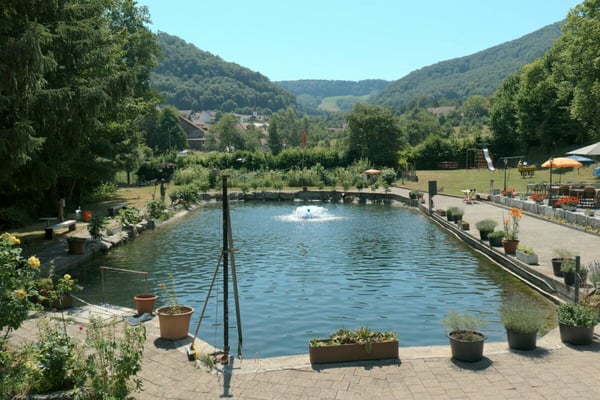 Restaurant «Forellenhof» - Wittnauerstrasse 201, 4468 Kienberg Kopie 3